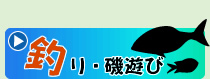 ނEV