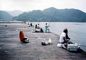 釣り