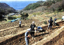 松崎町・石部地区 棚田
