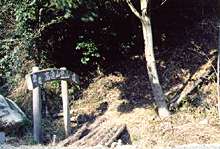 高通山遊歩道
