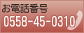 dbԍF0558-45-0310